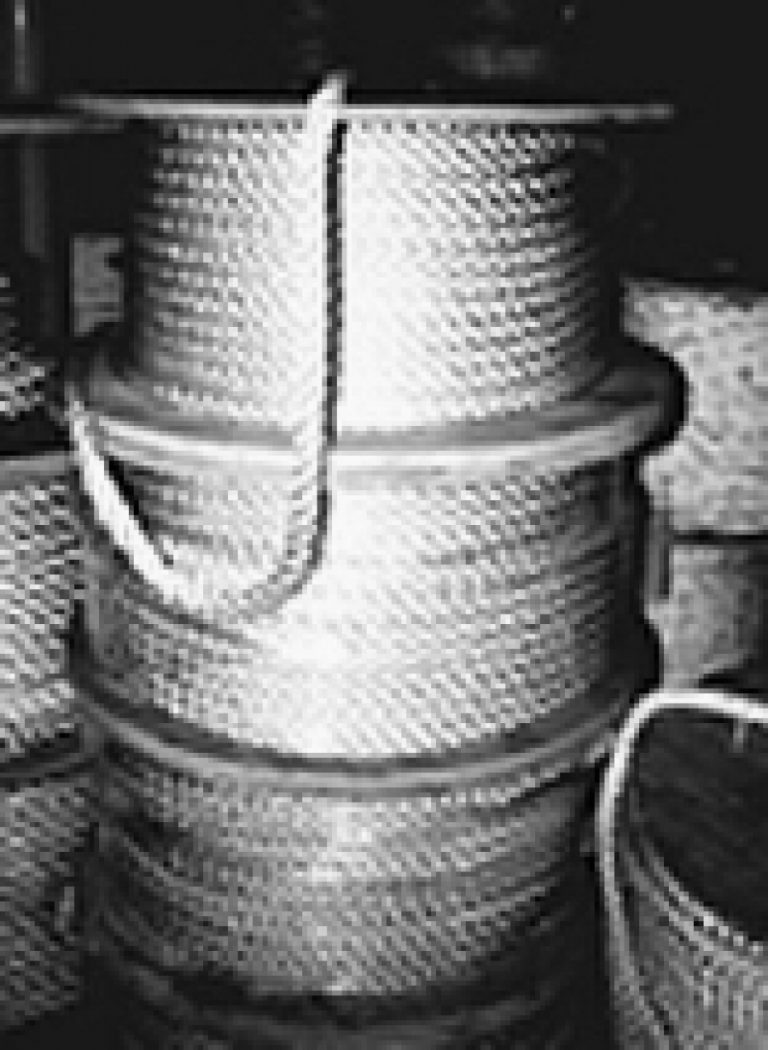 Nylon Rope NEMI